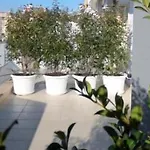 Gatto Bianco Le Terrazze Гостевой дом