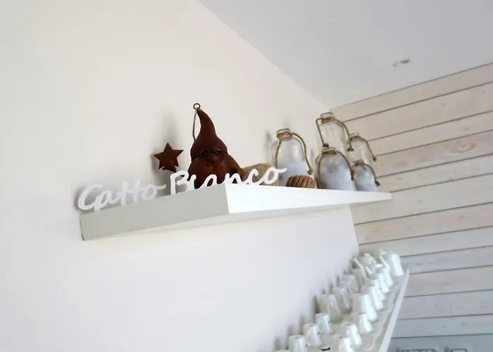 Gatto Bianco Le Terrazze