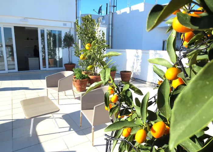 Gatto Bianco Le Terrazze Барі