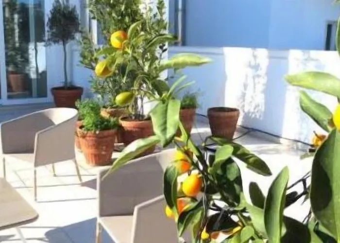 Gatto Bianco Le Terrazze Гостьовий будинок 3*