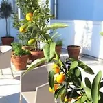 Gatto Bianco Le Terrazze Pensiune 3*