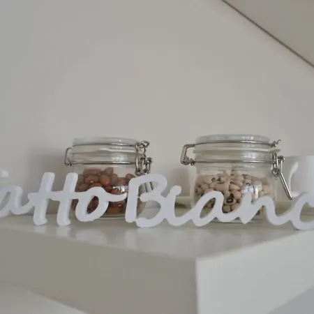 Gatto Bianco Le Terrazze Pensiune 3*