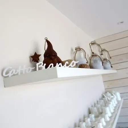 Gatto Bianco Le Terrazze