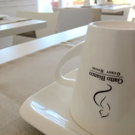 Pensiune Gatto Bianco Le Terrazze Bari