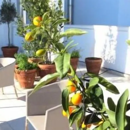 Gatto Bianco Le Terrazze Guest house 3*