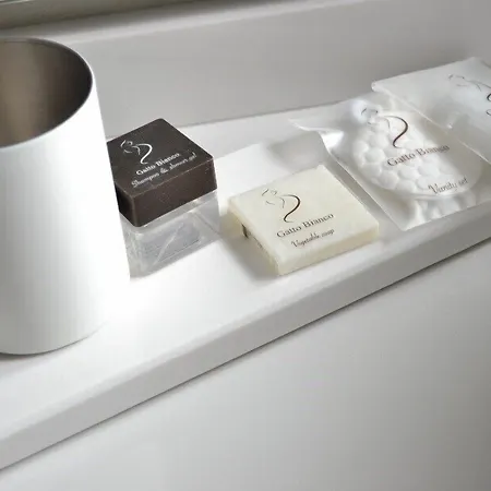 Gatto Bianco Le Terrazze Gasthuis 3*