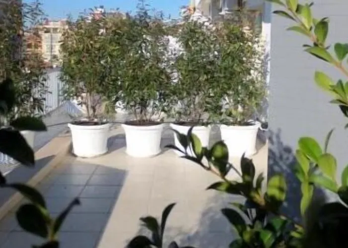 Gatto Bianco Le Terrazze Gæstehus