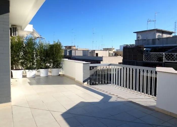 Gatto Bianco Le Terrazze Bari