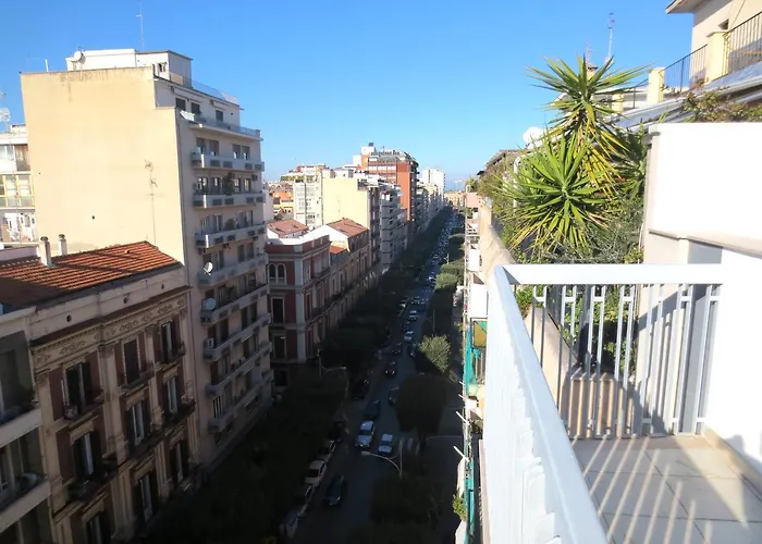 Gatto Bianco Le Terrazze